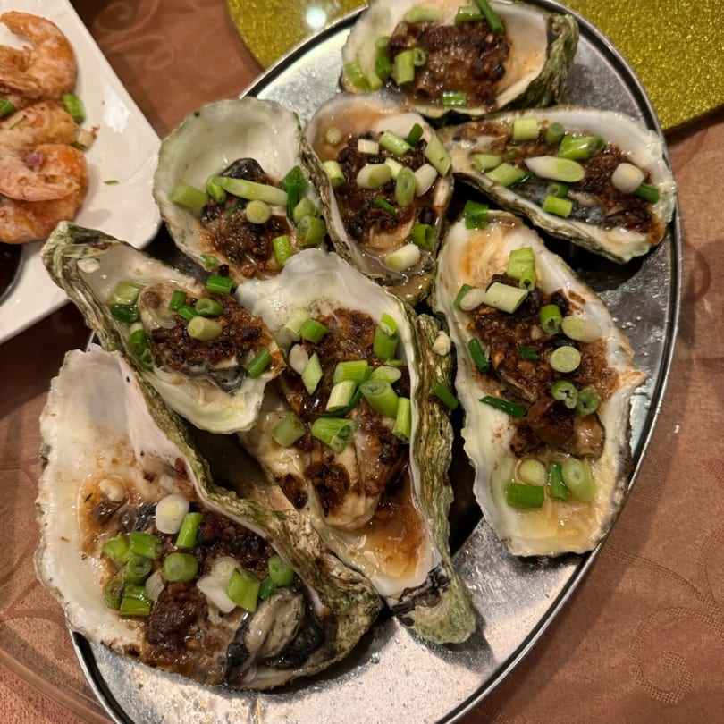 A platter of baked oysters topped with a dark sauce and fresh green onions, with shrimp in the background.